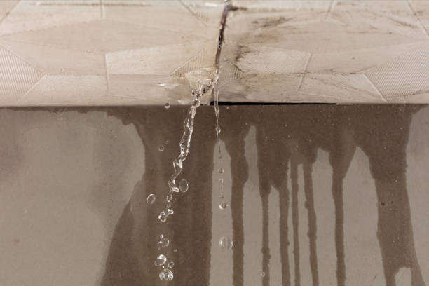 Professional Water Damage Repair technician working in Wellington, MO